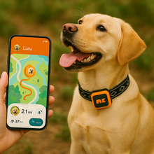 Lade das Bild in den Galerie-Viewer, NordPaw Dog GPS