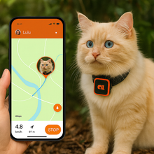 Lade das Bild in den Galerie-Viewer, KittyFind GPS Collar
