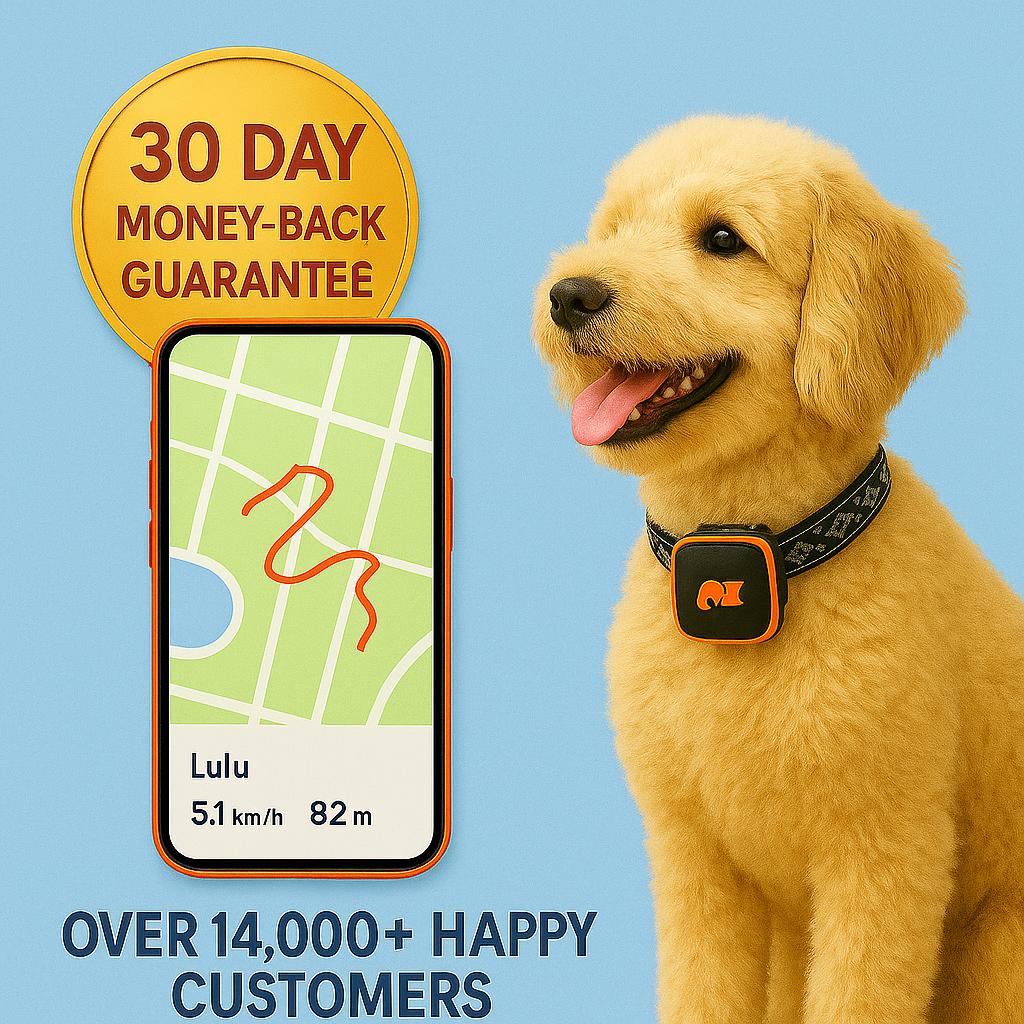 NordPaw Dog GPS